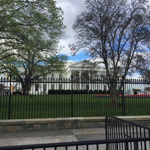 Meet your Posher, Rudy